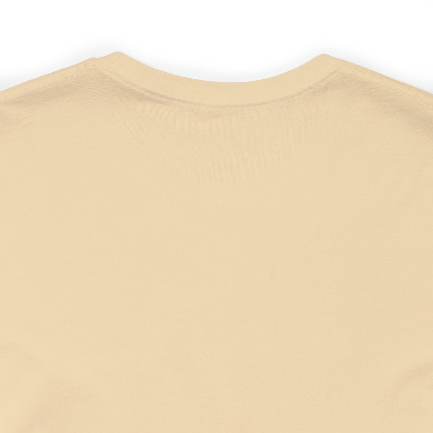 Hocus Pocus T-shirt - Bella Canvas Short Sleeve Tee