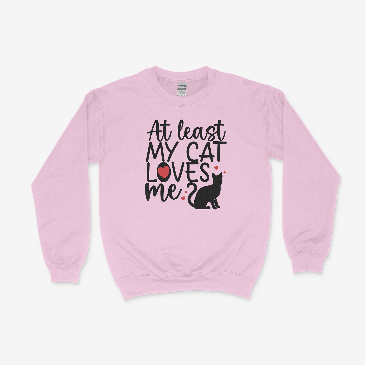 At Least My Cat Loves Me