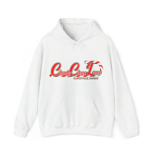 Candy Cane 1 - Unisex Heavy Blend™ Hooded Sweatshirt